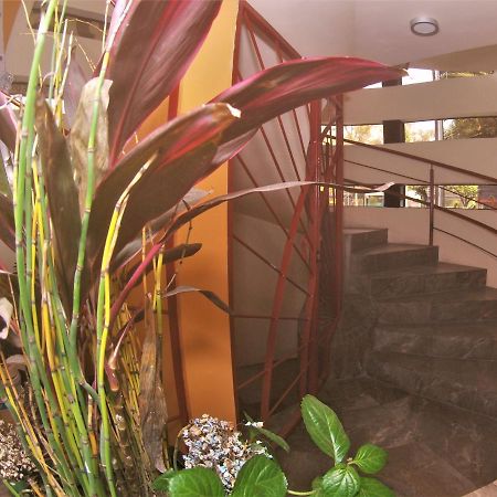 Hotel Jard Inn Adult Only Mexico City Exterior photo